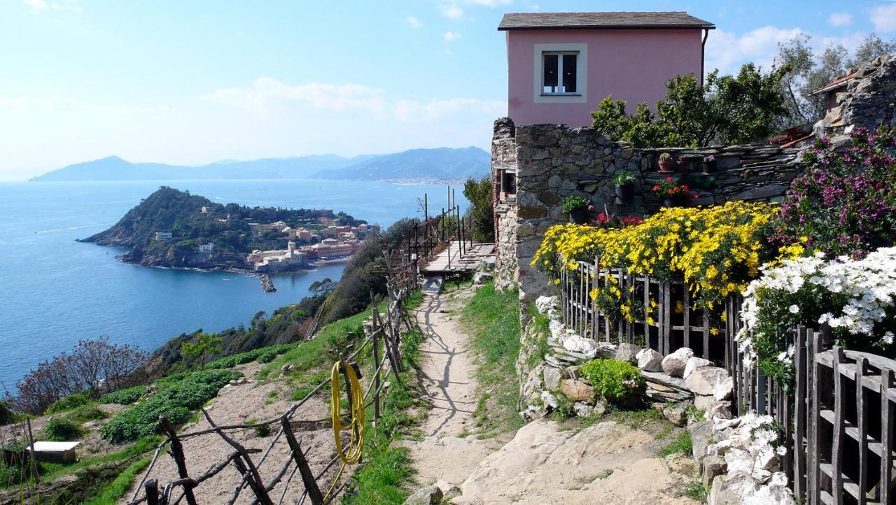 La Vie En Rose Flat Apartman Sestri Levante Kültér fotó
